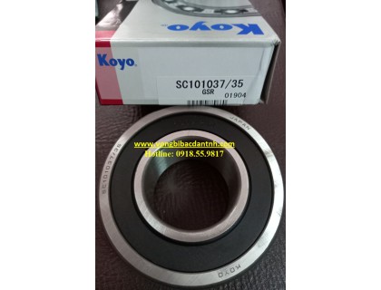 VÒNG BI SC101037/35 KOYO